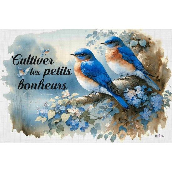COUSSIN CULTIVER LES PETITS BONHEURS- OISEAUX