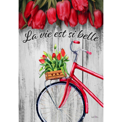 DRAPEAU 28 X 40