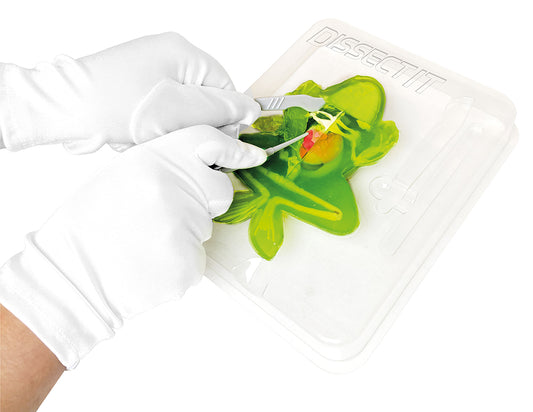 DISSECT IT - GRENOUILLE AU LABO
