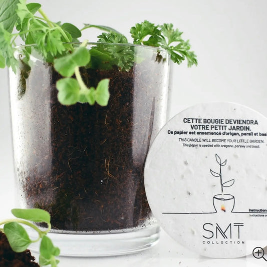 BOUGIE SOYA 50H/270G CACTUS SEL MER