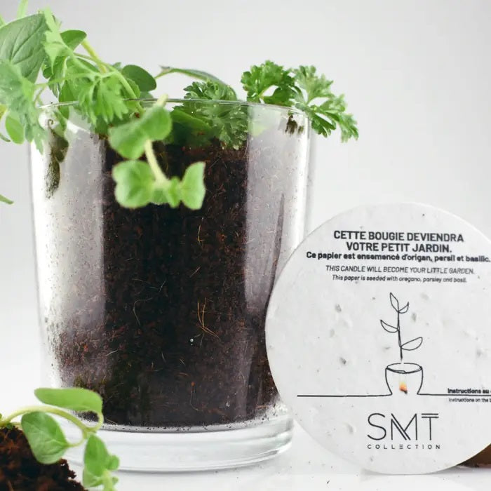 BOUGIE SOYA 50H/270G MAISON PROPRE