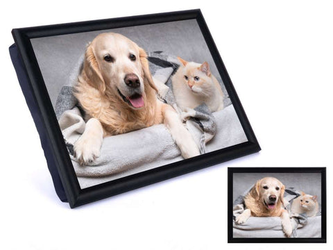 COUSSIN DE LECTURE- CHIEN GOLDEN ET CHAT