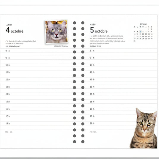 AGENDA DES CHATS 2027