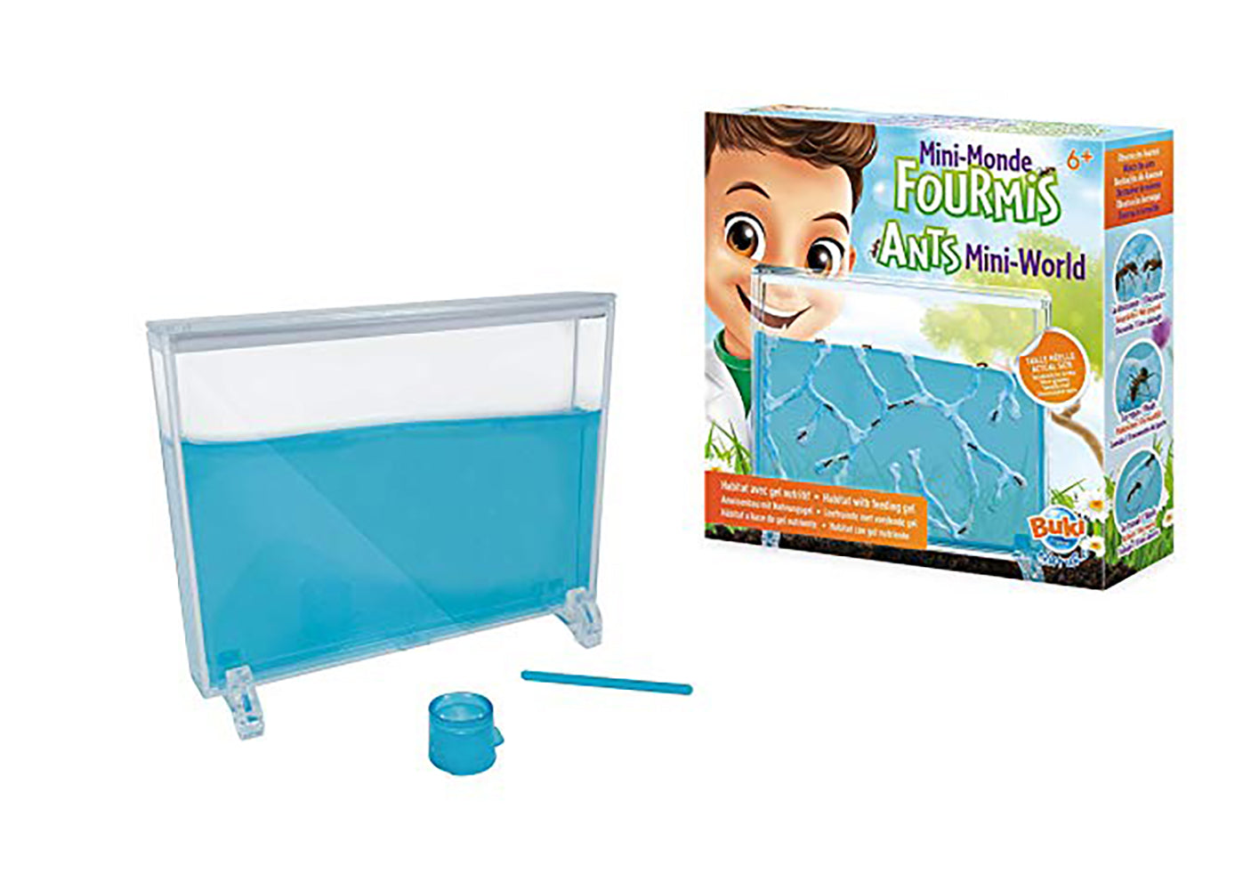 BUKI - MINI-MONDE DES FOURMIS