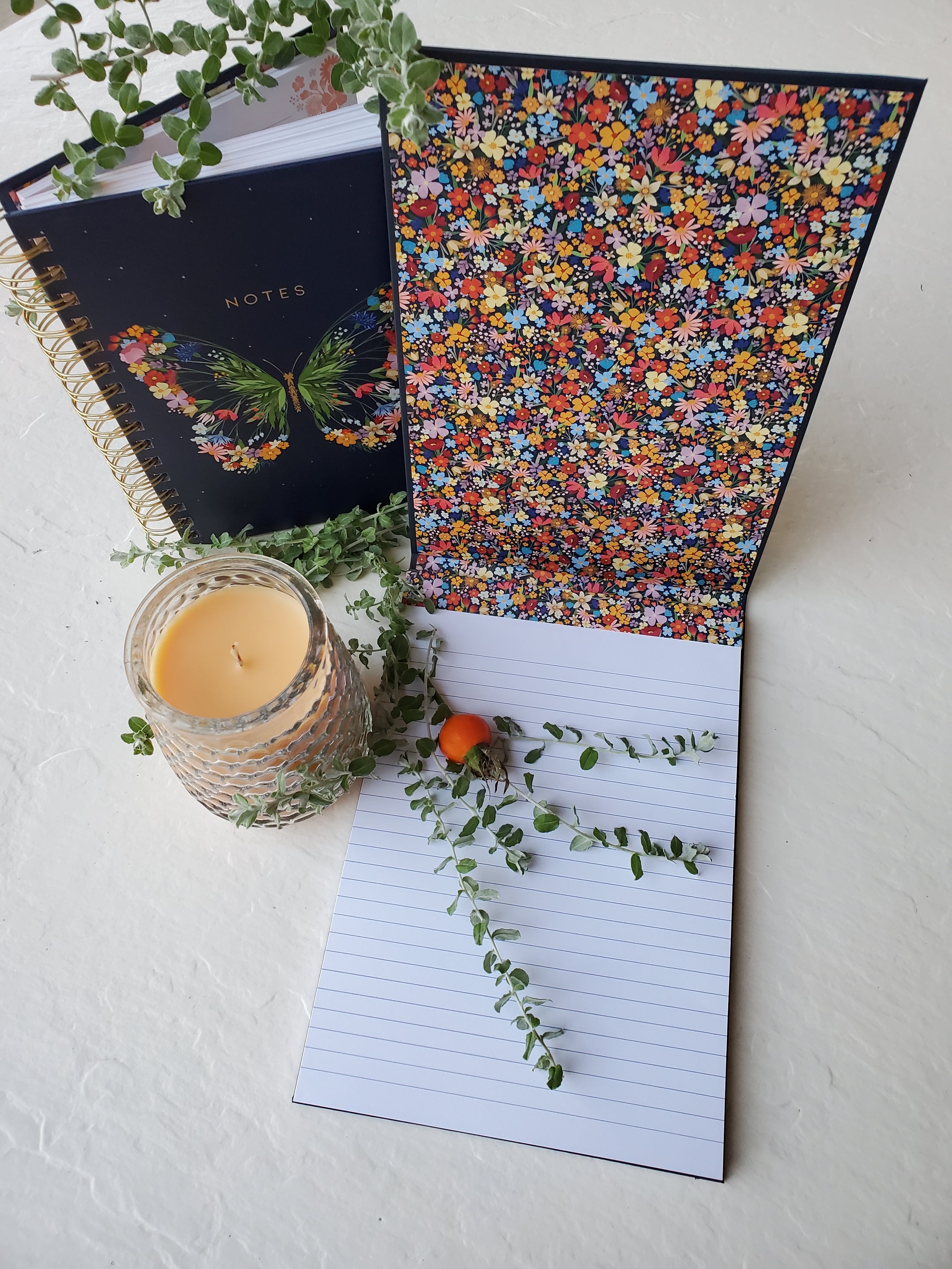 LADY JAYNE - INSECTES BLOC-NOTE "FLIP TOP"