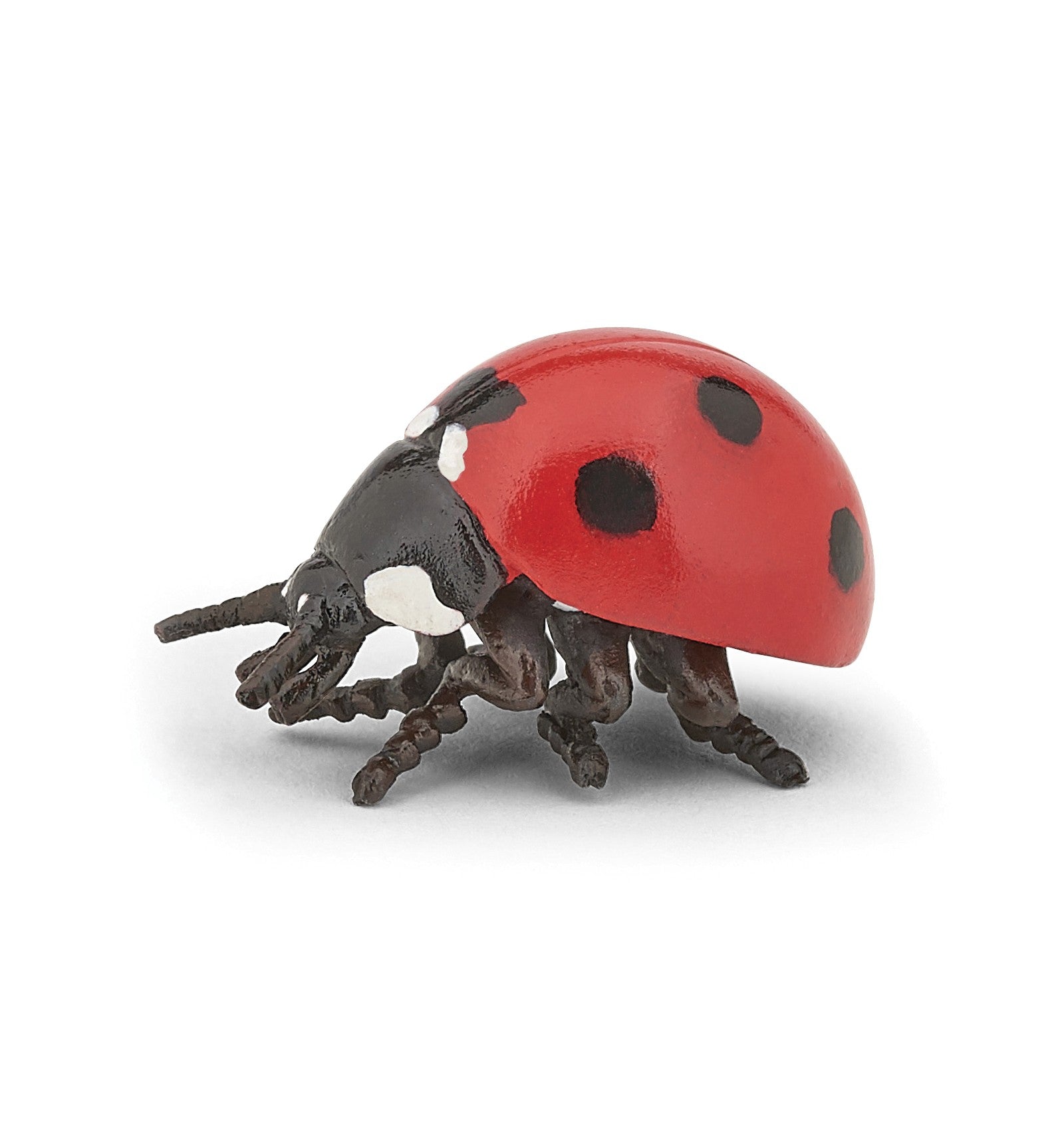 PAPO FIGURINE COCCINELLE