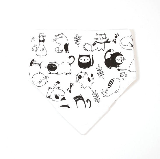 BULLE - BAVOIR À MORDILLER CHATS