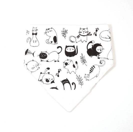 BULLE - BAVOIR À MORDILLER CHATS