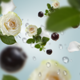 LAMPE BERGER - PARFUM 1L VENT D'OCEAN