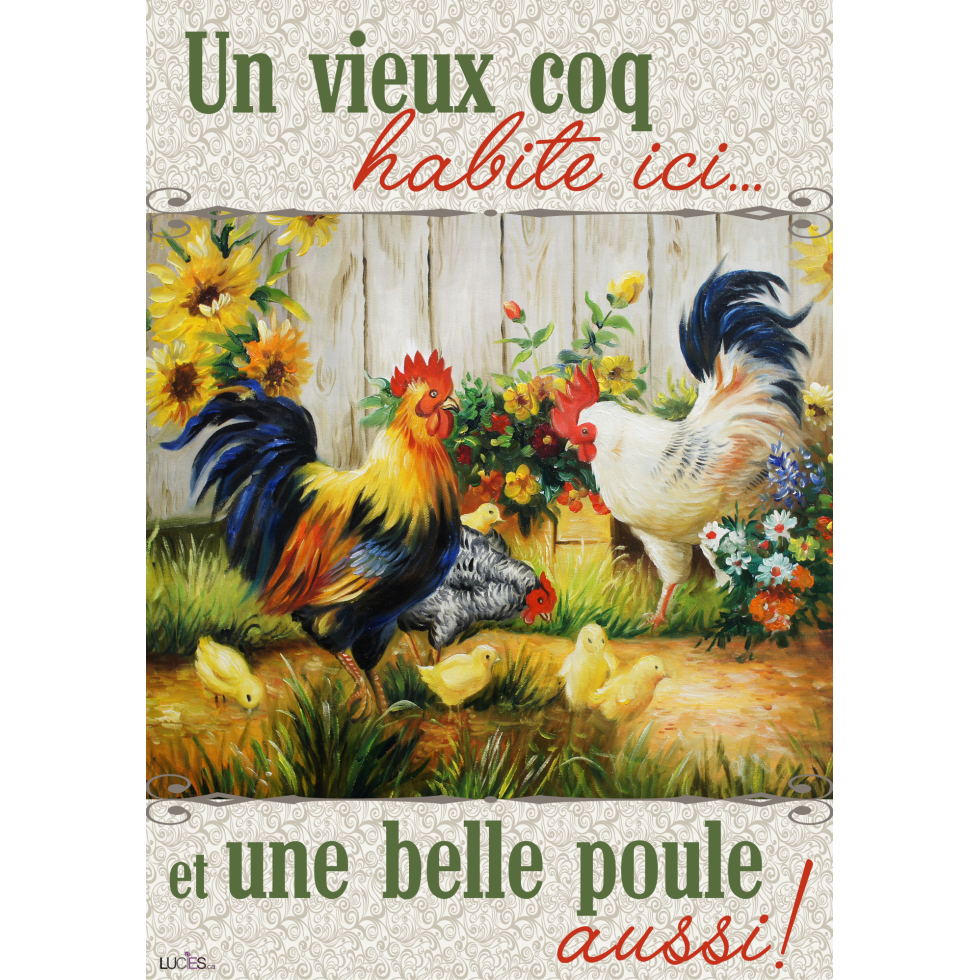 DRAPEAU 28 X 40" - VIEUX COQ BELLE POULE