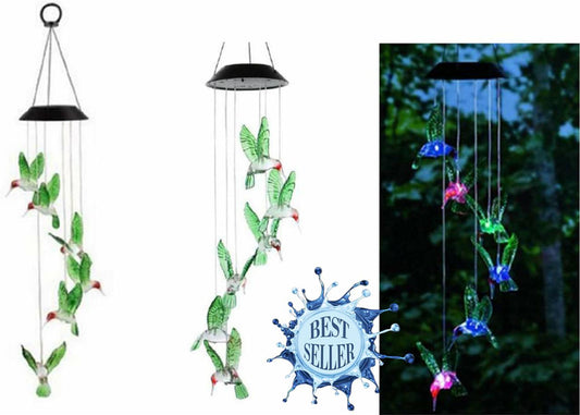 CARILLON SOLAIRE - COLIBRI
