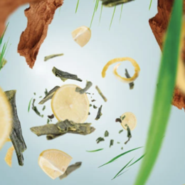 LAMPE BERGER - PARFUM 500ML THE VERT IMPERIAL