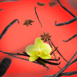 LAMPE BERGER - PARFUM 500 ML VANILLE GOURMET